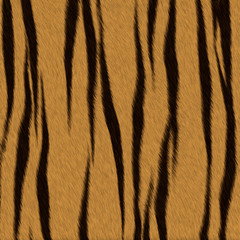 Tiger fur (skin) background or texture