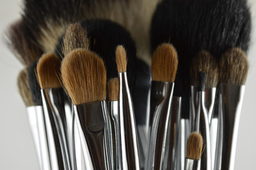 Professional makeup brushes