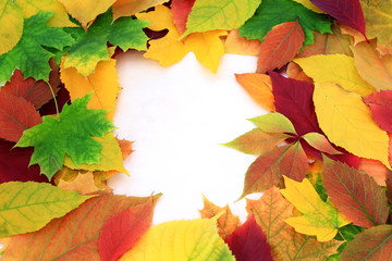 Background with old paper and autumn leaves