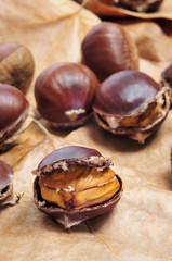 roasted chestnuts