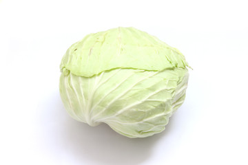 Fototapeta premium cabbage