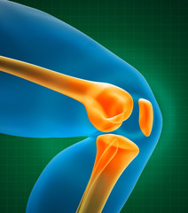 knee xray © adimas