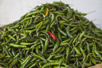 Basket full with green peppers and one red pepper