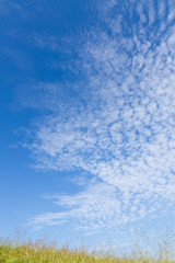 Autumn sky and the grass