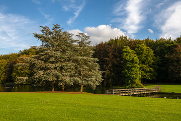 Park landscape