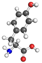 Thyrosine molecule