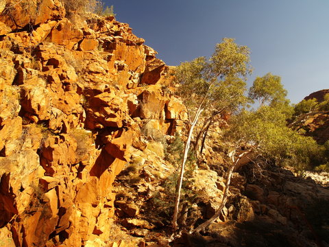 Gorge in Australian outback