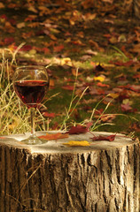 Red Wine On Red Pine Stump