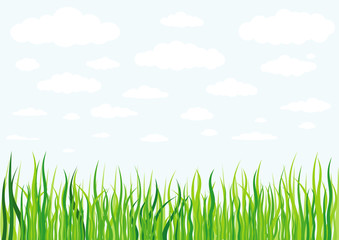 grass clouds and sky background