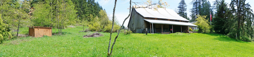 Old large shed with green spring landscape and fence.