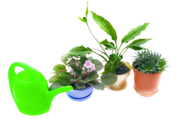 Different room flowerpots