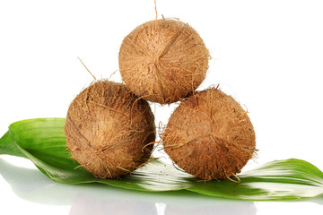 coconuts on green leaf on white background