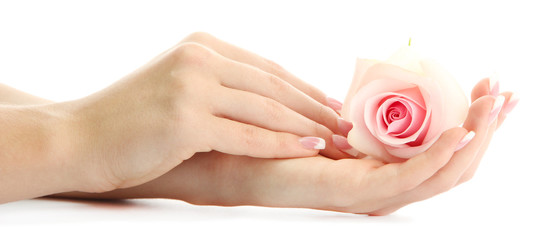 Beautiful woman hands with rose, isolated on white
