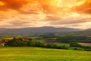 Green meadow under sunset sky with clouds