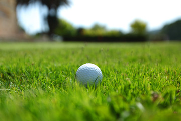 golf-ball on course