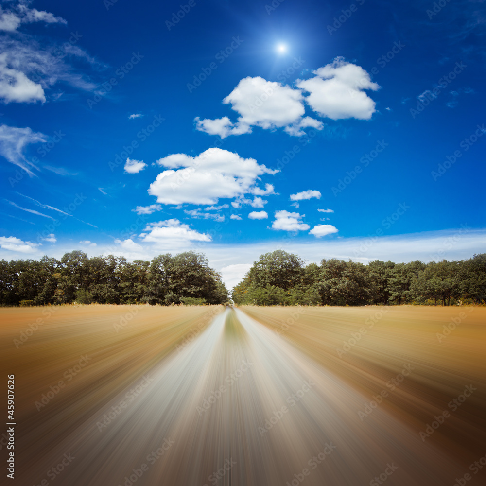 Wall mural blurred road