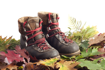 Fototapeta na wymiar mountain boots on a autumn leaves carpet