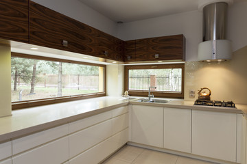 Kitchen counter top
