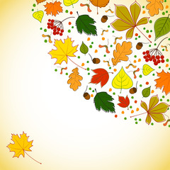 Fototapeta na wymiar autumn background for messages with leaves and maples