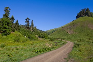 road in a mountain valley