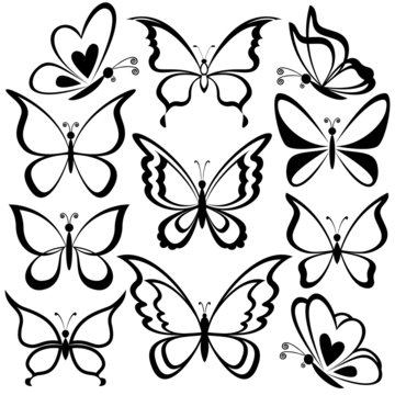 Butterflies, black contours