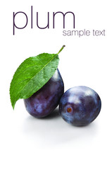 Isolated two plums with on white background