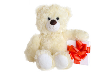 White teddy bear with present box and tied with the red ribbon