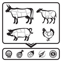 plan for cutting meat cows, sheep, pigs and chickens