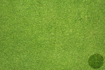 Pie chart on green grass texture and background - 45919274