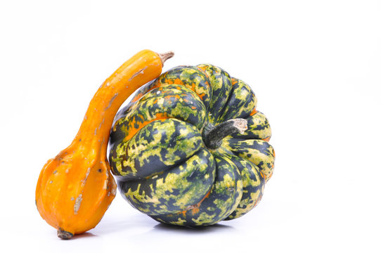 Pumkin isolated against the white background