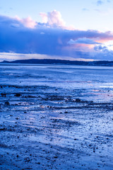 Beach in the evening