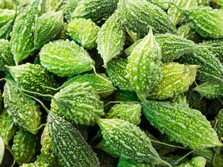 Bitter melon
