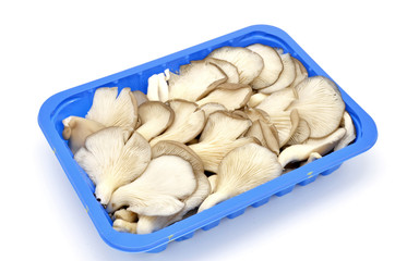 Tray with edible mushrooms chopped