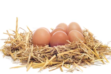 Keuken spatwand met foto brown eggs in a nest © nito
