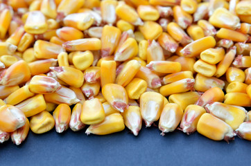 Corn seeds background