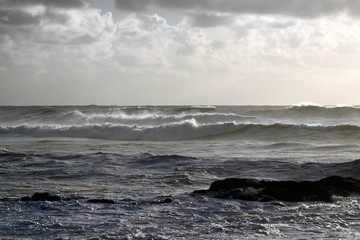 Winter seascape