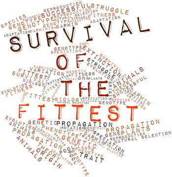 Word cloud for Survival of the Fittest