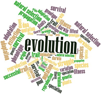 Word cloud for Evolution