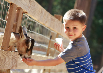 Happy little boy feeding goat, looking at camera with smile