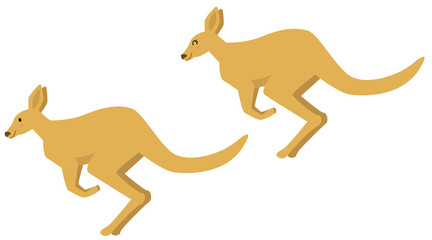 カンガルー