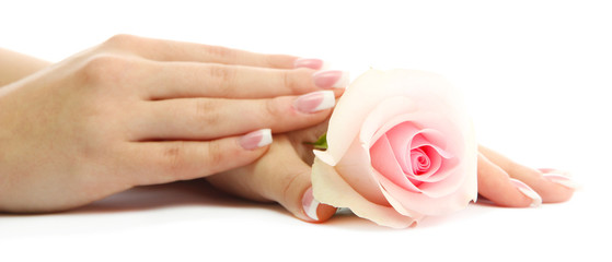 Beautiful woman hands with rose, isolated on white