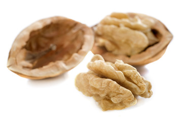 walnut