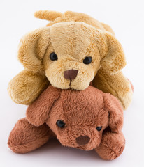 Duo de peluches de chiots