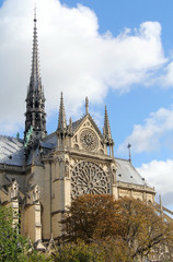 Fototapeta na wymiar Notre Dame de Paris detail
