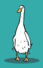 Funny duck