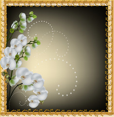 white orchid flowers in gold frame