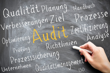 Audit