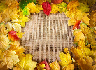 Autumn leaves background