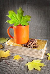 Autumn tea and book