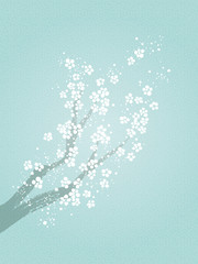 雪の花